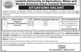 New Positions at LUAWMS Uthal Balochistan 2023
