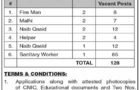 latest jobs in pakistan, jobs in pakistan, latest jobs pakistan, new jobs at minicipal committee shahdadpur 2023, newspaper jobs today, latest jobs today, jobs in sindh, sindh govt jobs, jobs search, jobs neaby