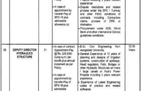 Positions at Energy Department Punjab 2023