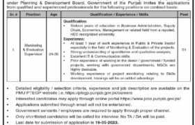 Planning & Development Board Punjab Jobs 2023