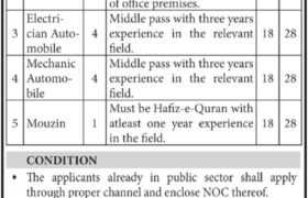 latest jobs in pakistan, jobs in pakistan, latest jobs pakistan, newspaper jobs today, latest jobs today, jobs today, jobs search, jobs hunt, new hirings, jobs nearby me, government sector org jobs in sindh 2023, 