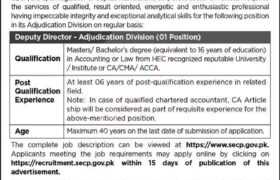 latest jobs in islamabad, new vacacny at secp islamabad 2023, secp careers, latest jobs in pakistan, jobs in pakistan, latest jobs pakistan, newspaper jobs today, latest jobs today, jobs today, jobs search, jobs hunt, new hirings, jobs nearby me