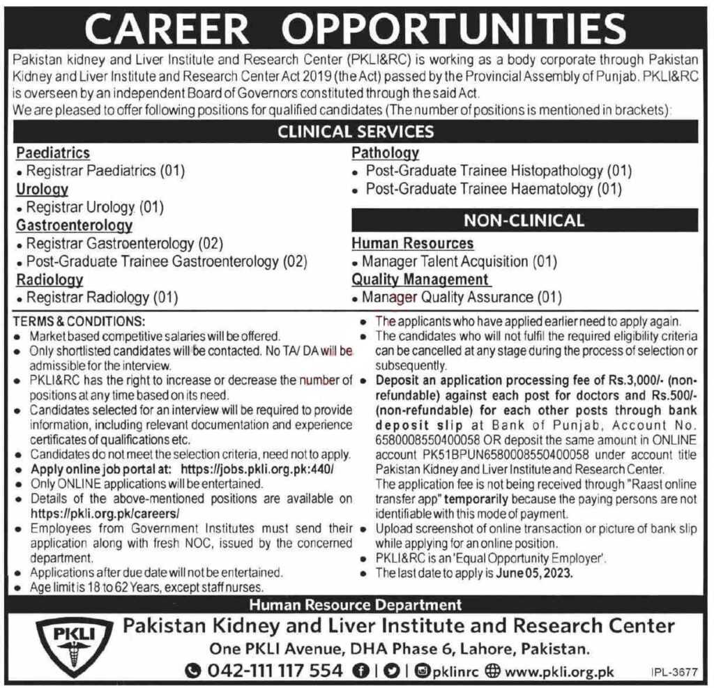 latest jobs in pakistan, latest jobs pakistan, jobs in pakistan, new vacancies at pkli&rc 2023, latest jobs today, latest jobs in punjab, jobs search, jobs hunt, newspaper jobs today,