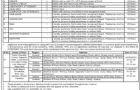 positions at workers welfare board sindh 2023, jobs in sindh, latest jobs in pakistan, jobs in pakistan, latest jobs pakistan, newspaper jobs today, latest jobs today, jobs today, jobs search, jobs hunt, new hirings, jobs nearby me