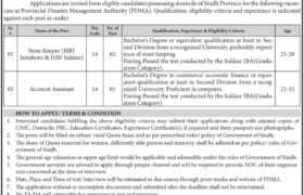 latest jobs in sindh, pdma jobs, jobs at pdma rehabilitation department sindh 2023, latest jobs in pakistan, jobs in pakistan, latest jobs pakistan, newspaper jobs today, latest jobs today, jobs today, jobs search, jobs hunt, new hirings, jobs nearby me,