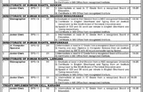 latest jobs in sindh, jobs in karachi today, latest jobs in karachi, new jobs at human rights department sindh 2023, latest jobs in pakistan, jobs in pakistan, latest jobs pakistan, newspaper jobs today, latest jobs today, jobs today, jobs search, jobs hunt, new hirings, jobs nearby me