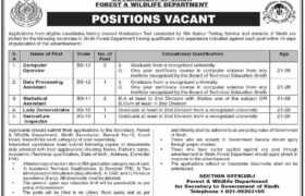 latest jobs in sindh, sindh govt jobs, latest sindh govt jobs, jobs at forest & wildlife department sindh 2023, latest jobs in pakistan, jobs in pakistan, latest jobs pakistan, newspaper jobs today, latest jobs today, jobs today, jobs search, jobs hunt, new hirings, jobs nearby me,