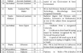 latest jobs in sindh, vacancies at health department sindh 2023, sindh govt jobs today, latest jobs in pakistan, jobs in pakistan, latest jobs pakistan, newspaper jobs today, latest jobs today, jobs today, jobs search, jobs hunt, new hirings, jobs nearby me,
