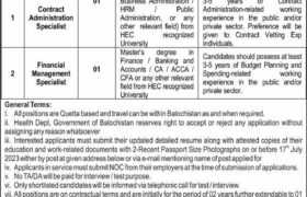 latest jobs in balochistan, consultancy jobs at health department balochistan 2023, latest jobs in pakistan, jobs in pakistan, latest jobs pakistan, newspaper jobs today, latest jobs today, jobs today, jobs search, jobs hunt, new hirings, jobs nearby me,