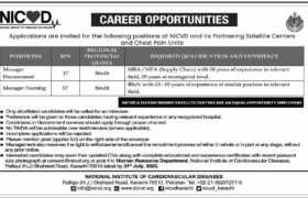 latest jobs in sindh, sindh govt jobs, new positions at nicvd satellite centers 2023, latest jobs in pakistan, jobs in pakistan, latest jobs pakistan, newspaper jobs today, latest jobs today, jobs today, jobs search, jobs hunt, new hirings, jobs nearby me,