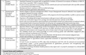 latest jobs in sindh, sindh govt jobs, jobs at agriculture delivery unit sindh 2023, latest jobs in pakistan, jobs in pakistan, latest jobs pakistan, newspaper jobs today, latest jobs today, jobs today, jobs search, jobs hunt, new hirings, jobs nearby me,
