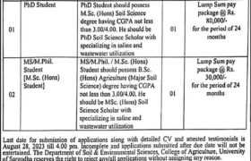 latest jobs in lahore, jobs in lahore, new research jobs at college of agriculture lahore 2023, latest jobs in pakistan, jobs in pakistan, latest jobs pakistan, newspaper jobs today, latest jobs today, jobs today, jobs search, jobs hunt, new hirings, jobs nearby me,