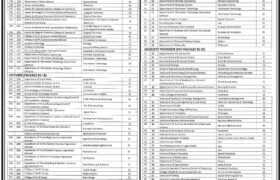 latest jobs in punjab today, jobs in punjab, latest teaching jobs in university of punjab lahore 2023, latest jobs in pakistan, jobs in pakistan, latest jobs pakistan, newspaper jobs today, latest jobs today, jobs today, jobs search, jobs hunt, new hirings, jobs nearby me,