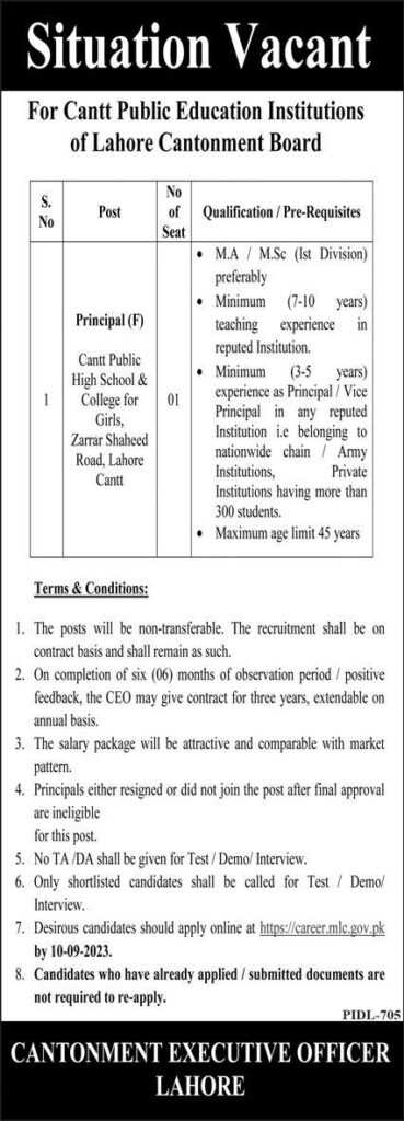 latest jobs in lahore, jobs in lahore, job at cantt public education institute lahore 2023, latest jobs in pakistan, jobs in pakistan, latest jobs pakistan, newspaper jobs today, latest jobs today, jobs today, jobs search, jobs hunt, new hirings, jobs nearby me,