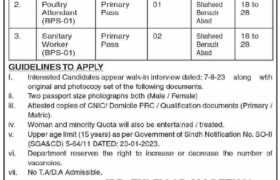 latest jobs in sindh today, jobs in sindh, sindh govt jobs, latest jobs in pakistan, jobs in pakistan, latest jobs pakistan, newspaper jobs today, latest jobs today, jobs today, jobs search, jobs hunt, new hirings, jobs nearby me