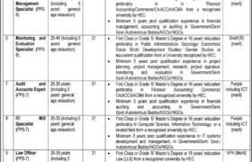 latest jobs in islamabad, jobs in islamabad today, new jobs at ministry of human rights 2023, latest jobs in pakistan, jobs in pakistan, latest jobs pakistan, newspaper jobs today, latest jobs today, jobs today, jobs search, jobs hunt, new hirings, jobs nearby me,