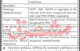 latest jobs in kohistan, jobs at dhq hospital dassu 2023, latest jobs in kpk, govt jobs in kpk, latest jobs in pakistan, jobs in pakistan, latest jobs pakistan, newspaper jobs today, latest jobs today, jobs today, jobs search, jobs hunt, new hirings, jobs nearby me,