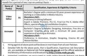 latest jobs in islamabad, latest jobs at ministry of information 2023, federal govt jobs, latest federal govt jobs, latest jobs in pakistan, jobs in pakistan, latest jobs pakistan, newspaper jobs today, latest jobs today, jobs today, jobs search, jobs hunt, new hirings, jobs nearby me,