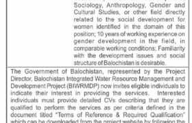 latest jobs in balochistan, jobs in balochistan, new position at biwrmdp balochistan 2023,latest jobs in pakistan, jobs in pakistan, latest jobs pakistan, newspaper jobs today, latest jobs today, jobs today, jobs search, jobs hunt, new hirings, jobs nearby me, 