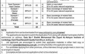 latest jobs in balochistan, jobs in balochistan today, positions at smbzanic quetta 2023, latest jobs in pakistan, jobs in pakistan, latest jobs pakistan, newspaper jobs today, latest jobs today, jobs today, jobs search, jobs hunt, new hirings, jobs nearby me,