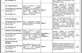 latest jobs in islamabad, jobs in islamabad, hec pakistan vacancies annoucement 2023, latest jobs in pakistan, jobs in pakistan, latest jobs pakistan, newspaper jobs today, latest jobs today, jobs today, jobs search, jobs hunt, new hirings, jobs nearby me,