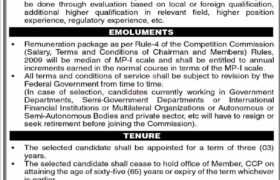 latest jobs in islamabad, job at competition commission of pakistan 2023, latest jobs in pakistan, jobs in pakistan, latest jobs pakistan, newspaper jobs today, latest jobs today, jobs today, jobs search, jobs hunt, new hirings, jobs nearby me,