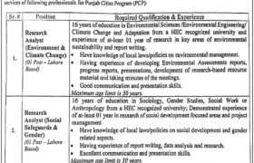 latest jobs in punjab, jobs in punjab, jobs at pmdf 2023, latest jobs in pakistan, jobs in pakistan, latest jobs pakistan, newspaper jobs today, latest jobs today, jobs today, jobs search, jobs hunt, new hirings, jobs nearby me,
