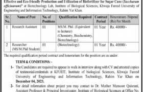 latest jobs in rahim yar khan, jobs in punjab, research positions in punjab, interview at khwaja fareed ueit ryk 2023, latest jobs in pakistan, jobs in pakistan, latest jobs pakistan, newspaper jobs today, latest jobs today, jobs today, jobs search, jobs hunt, new hirings, jobs nearby me,