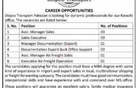 latest jobs in karachi, jobs in karachi, new jobs at shipco transport 2023, shipping jobs at karachi, latest jobs in pakistan, jobs in pakistan, latest jobs pakistan, newspaper jobs today, latest jobs today, jobs today, jobs search, jobs hunt, new hirings, jobs nearby me,