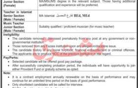 latest jobs in peshawar, paf jobs, new jobs at paf, fazaia inter college paf base peshawar jobs 2023, latest jobs in pakistan, jobs in pakistan, latest jobs pakistan, newspaper jobs today, latest jobs today, jobs today, jobs search, jobs hunt, new hirings, jobs nearby me,