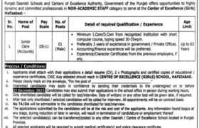 latest jobs in hafizabad, punjab govt jobs, centre of excellence girls school hafizabad jobs 2023, latest jobs in pakistan, jobs in pakistan, latest jobs pakistan, newspaper jobs today, latest jobs today, jobs today, jobs search, jobs hunt, new hirings, jobs nearby me,