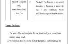 latest jobs in lahore, jobs in lahore today, cantt public education institution lahore jobs 2023, latest jobs in pakistan, jobs in pakistan, latest jobs pakistan, newspaper jobs today, latest jobs today, jobs today, jobs search, jobs hunt, new hirings, jobs nearby me,