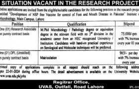 latest jobs in lahore, jobs in lahore, research jobs at institute of microbiology lahore 2024, uvas lahore jobs, latest jobs in pakistan, jobs in pakistan, latest jobs pakistan, newspaper jobs today, latest jobs today, jobs today, jobs search, jobs hunt, new hirings, jobs nearby me,