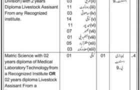 latest jobs in ajk, jobs in ajk, new jobs at tevta muzaffarabad 2024, latest jobs in pakistan, jobs in pakistan, latest jobs pakistan, newspaper jobs today, latest jobs today, jobs today, jobs search, jobs hunt, new hirings, jobs nearby me,