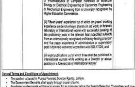 latest jobs in punjab, home department punjab jobs, punjab forensic science agency jobs 2024, latest jobs in pakistan, jobs in pakistan, latest jobs pakistan, newspaper jobs today, latest jobs today, jobs today, jobs search, jobs hunt, new hirings, jobs nearby me,