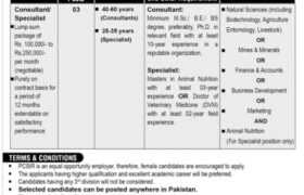 latest jobs in islamabad, jobs in islamabad, consultancy jobs at pcsir islamabad 2024, latest jobs in pakistan, jobs in pakistan, latest jobs pakistan, newspaper jobs today, latest jobs today, jobs today, jobs search, jobs hunt, new hirings, jobs nearby me,
