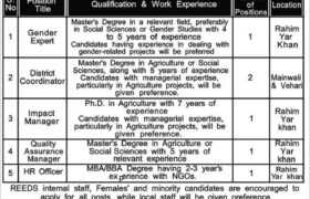 latest jobs in punjab, jobs in punjab, reedspak agricultural project jobs in punjab 2024, latest jobs in pakistan, jobs in pakistan, latest jobs pakistan, newspaper jobs today, latest jobs today, jobs today, jobs search, jobs hunt, new hirings, jobs nearby me,