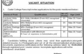 latest jobs in sindh, jobs in sindh, sindh govt jobs, jobs at cadet college pano aqil sindh 2024, latest jobs in pakistan, jobs in pakistan, latest jobs pakistan, newspaper jobs today, latest jobs today, jobs today, jobs search, jobs hunt, new hirings, jobs nearby me,