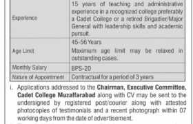 latest jobs in azad jammu kashmir, jobs in ajk, jobs at cadet college muzaffarabad 2024, latest jobs in pakistan, jobs in pakistan, latest jobs pakistan, newspaper jobs today, latest jobs today, jobs today, jobs search, jobs hunt, new hirings, jobs nearby me