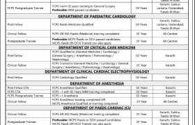 latest jobs in nicvd, jobs at medical education department nicvd 2024, latest jobs in pakistan, jobs in pakistan, latest jobs pakistan, newspaper jobs today, latest jobs today, jobs today, jobs search, jobs hunt, new hirings, jobs nearby me,