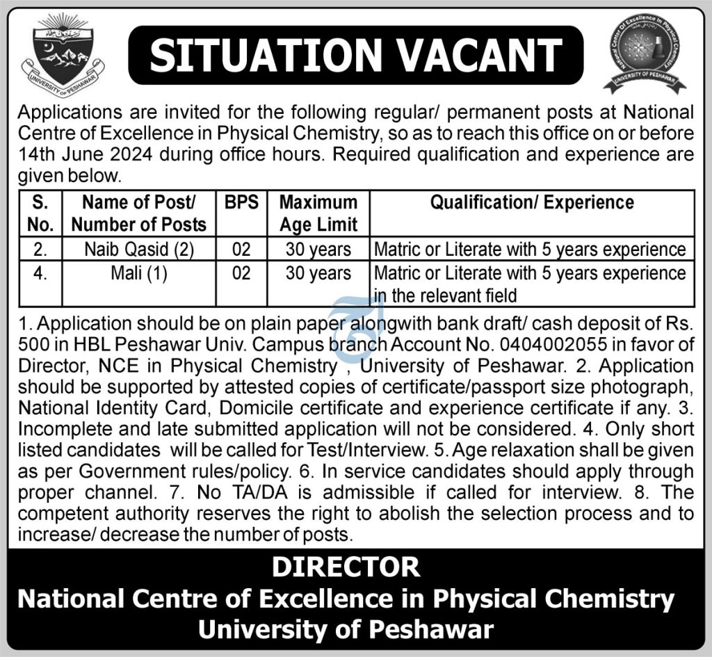 latest jobs in peshawar, jobs in peshawar, jobs at ncepc university of peshawar 2024, latest jobs in pakistan, jobs in pakistan, latest jobs pakistan, newspaper jobs today, latest jobs today, jobs today, jobs search, jobs hunt, new hirings, jobs nearby me,