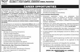 latest jobs in sindh, jobs in sindh, account officer job at university of sindh 2024, latest jobs in pakistan, jobs in pakistan, latest jobs pakistan, newspaper jobs today, latest jobs today, jobs today, jobs search, jobs hunt, new hirings, jobs nearby me,