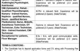latest jobs in lahore, jobs in lahore today, latest paf hospital jobs 2024, latest jobs in pakistan, jobs in pakistan, latest jobs pakistan, newspaper jobs today, latest jobs today, jobs today, jobs search, jobs hunt, new hirings, jobs nearby me,