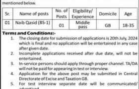 latest jobs in gilgit, jobs at excise taxation & narcotics control department gb 2024, latest jobs in pakistan, jobs in pakistan, latest jobs pakistan, newspaper jobs today, latest jobs today, jobs today, jobs search, jobs hunt, new hirings, jobs nearby me,