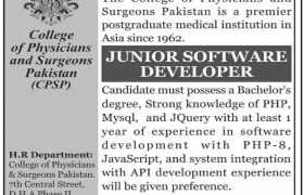 latest jobs in karachi, jobs in karachi, software developer job at cpsp karachi 2024, latest jobs in pakistan, jobs in pakistan, latest jobs pakistan, newspaper jobs today, latest jobs today, jobs today, jobs search, jobs hunt, new hirings, jobs nearby me