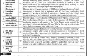 latest jobs in islamabad, jobs at ministry of national food 2024, sunday jobs, latest jobs in pakistan, jobs in pakistan, latest jobs pakistan, newspaper jobs today, latest jobs today, jobs today, jobs search, jobs hunt, new hirings, jobs nearby me,