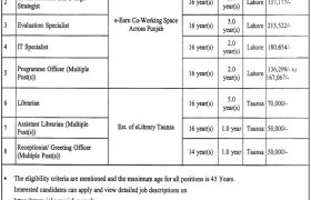 latest jobs in punjab, jobs in punjab, new jobs at pitb 2024, punjab information technology board jobs, latest jobs in pakistan, jobs in pakistan, latest jobs pakistan, newspaper jobs today, latest jobs today, jobs today, jobs search, jobs hunt, new hirings, jobs nearby me,