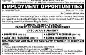 latest jobs in sindh, jobs in sindh, jobs at lumhs jamshoro 2024, medical jobs in sindh, latest jobs in pakistan, jobs in pakistan, latest jobs pakistan, newspaper jobs today, latest jobs today, jobs today, jobs search, jobs hunt, new hirings, jobs nearby me