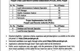 latest jobs in punjab, jobs at board of revenue punjab 2024, latest jobs in pakistan, jobs in pakistan, latest jobs pakistan, newspaper jobs today, latest jobs today, jobs today, jobs search, jobs hunt, new hirings, jobs nearby me,