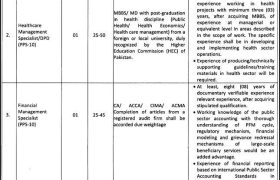 latest jobs in punjab, federal govt jobs, national health support program jobs 2024, latest jobs in pakistan, jobs in pakistan, latest jobs pakistan, newspaper jobs today, latest jobs today, jobs today, jobs search, jobs hunt, new hirings, jobs nearby me,